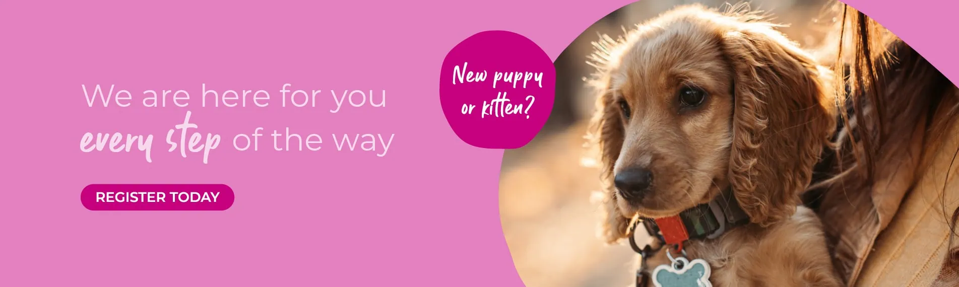 Avonvale Veterinary Centres in Warwickshire