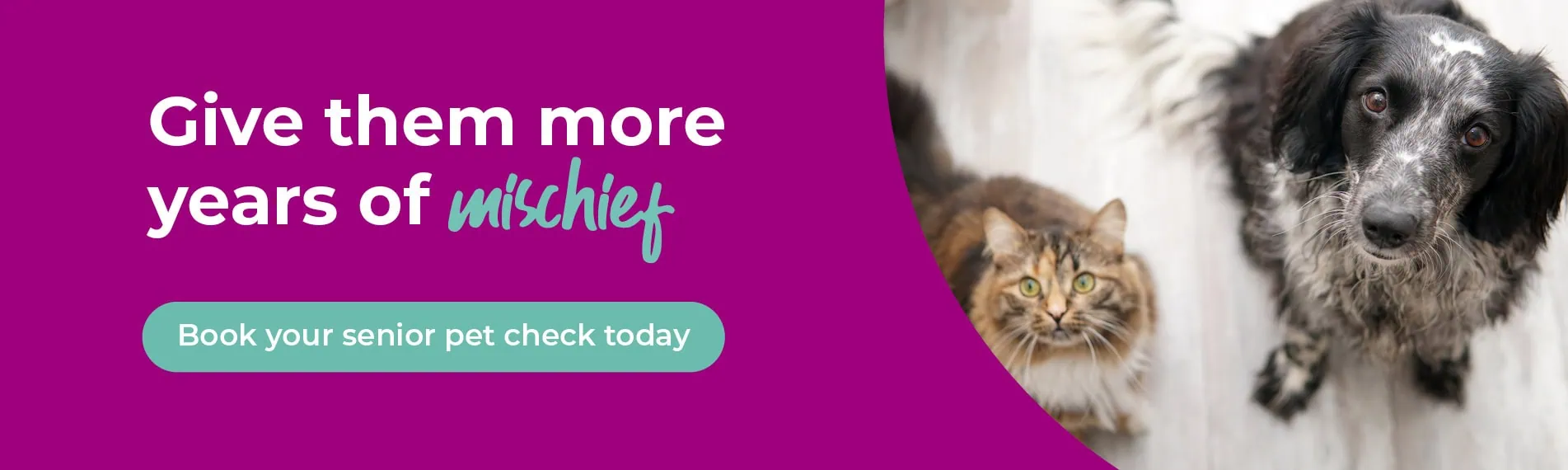 Avonvale Veterinary Centres in Warwickshire