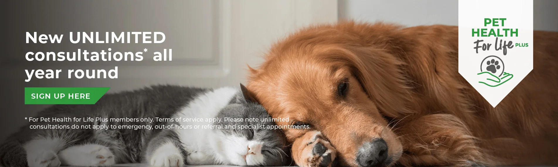 Avonvale Veterinary Centres in Warwickshire