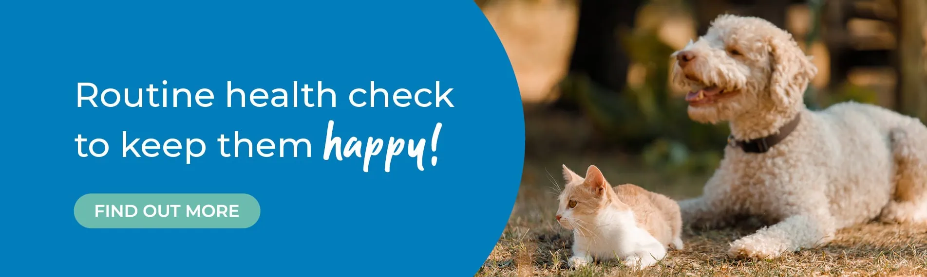 Avonvale Veterinary Centres in Warwickshire