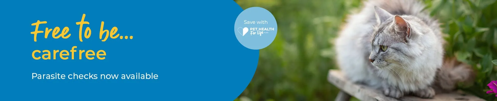 Flea and Worm Treatment